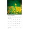BrownTrout; Blessings | 2027 12 x 24 Inch (Hanging) Monthly Square Wall Calendar | Plastic-Free; Category:Wall Calendars; Image:5